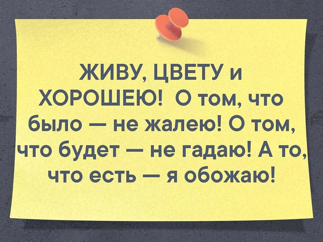 Было не на чем. Стих живу цвету и хорошею. Живу цвету и хорошею цитаты. Статус живу цвету и хорошею о том что было не жалею. Живу цвету и хорошею о том.