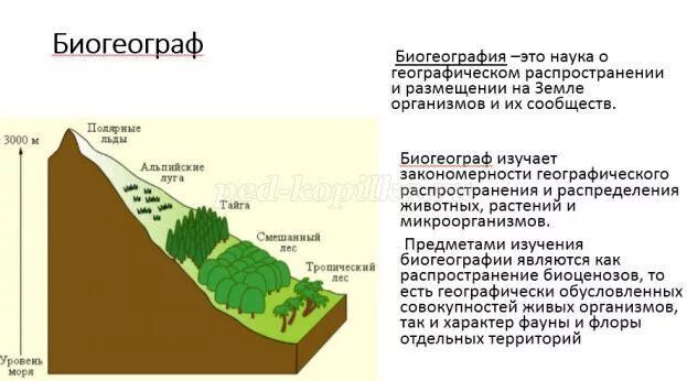 Предмет биогеографии. Сообщение о профессии геоэколог. Что изучает биогеограф. Закономерности биогеографии. Сообщение про геоэколога