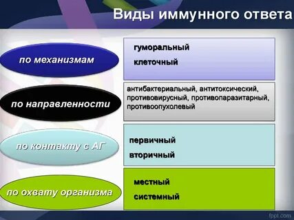 Суть иммунного ответа