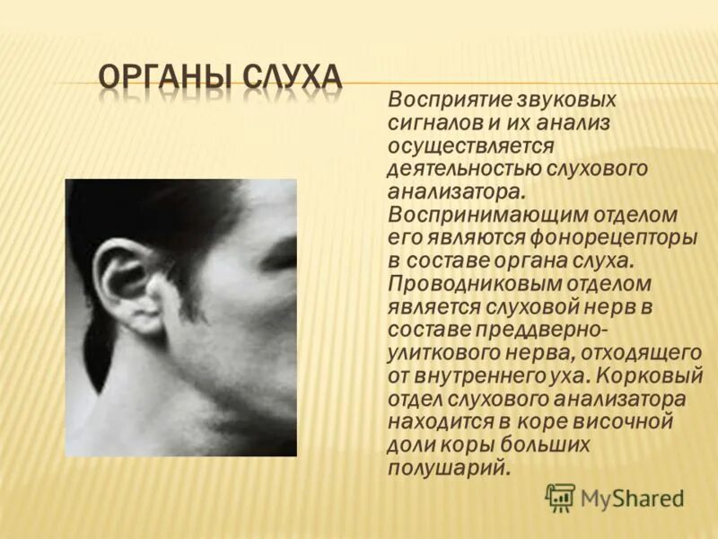 механизм восприятия звука человеком. таблица восприятия звука. процесс восприятия звуковых сигналов. восприятие звуковых сигналов. как человек воспринимает звук.