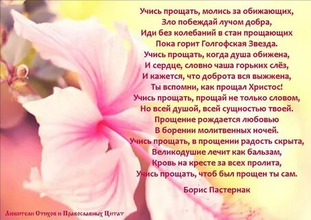 Извините стан