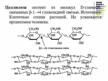 Молекула целлюлозы