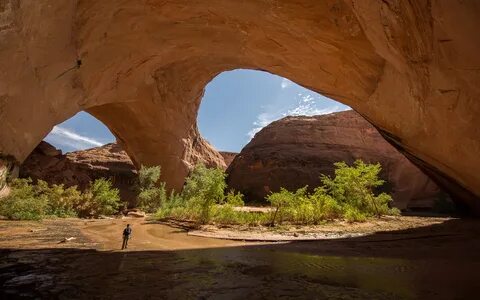 Gulch
