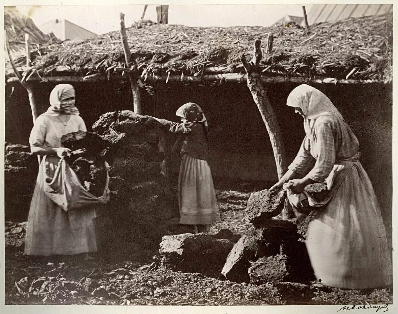 Станица цимлянская. Донская казачка 19 век. иван болдырев 1875-1876. казачья станица 19 век. зануздалка донской казачки 20 век.