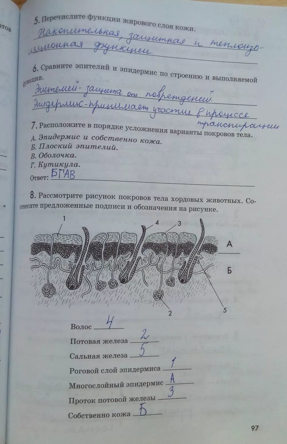 Контрольная по биологии покровы тела. Гдз по биологии рабочая тетрадь 7 класса Латюшина страница 10. Биология 7 класс рабочая тетрадь латюшин гдз. Гдз рабочая тетрадь биология 7 класс а Шапкина. Рабочая тетрадь по биологии учебник Латюшина Шапкина.