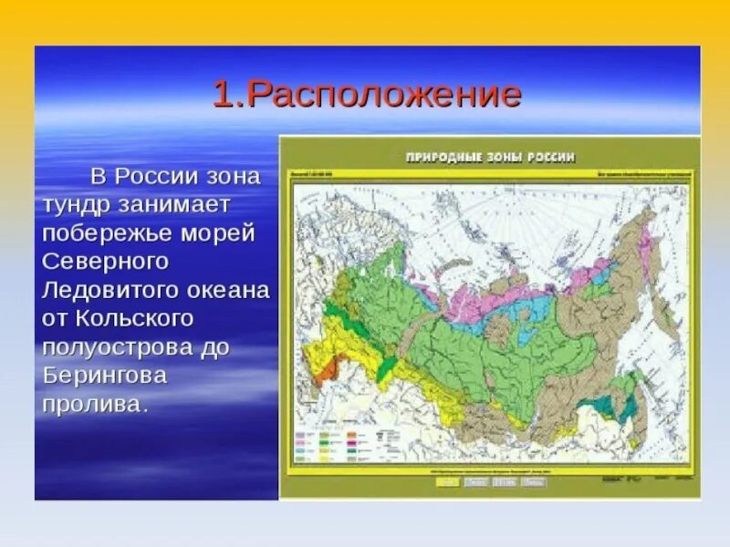 Тундра между природными зонами. Тундра географическое положение в России на карте. Географическое положение природной зоны тундры. Географическое положение зоны тундр России на карте. Расположение тундры на карте России.