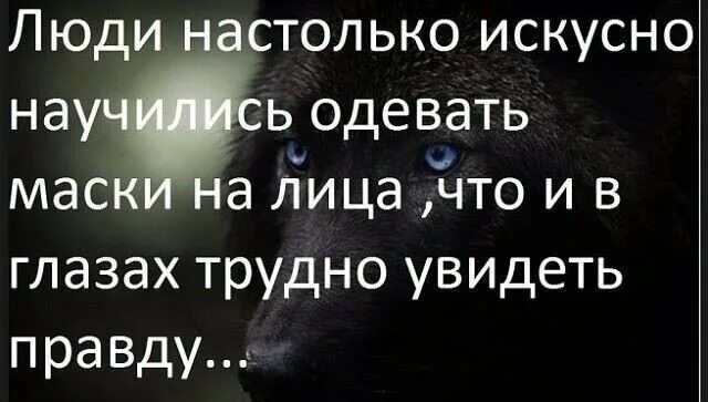 В моих глазах увидишь только правду. Удар в спину цитаты. Нож в спину цитаты. Высказывания про нож в спину. Афоризмы про нож в спину.