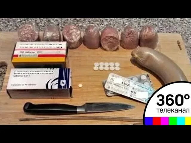 Средство для травли блох в квартире. Отрава для собак. Избавление от тараканов. Средство от тараканов. Тубазид отрава для собак.