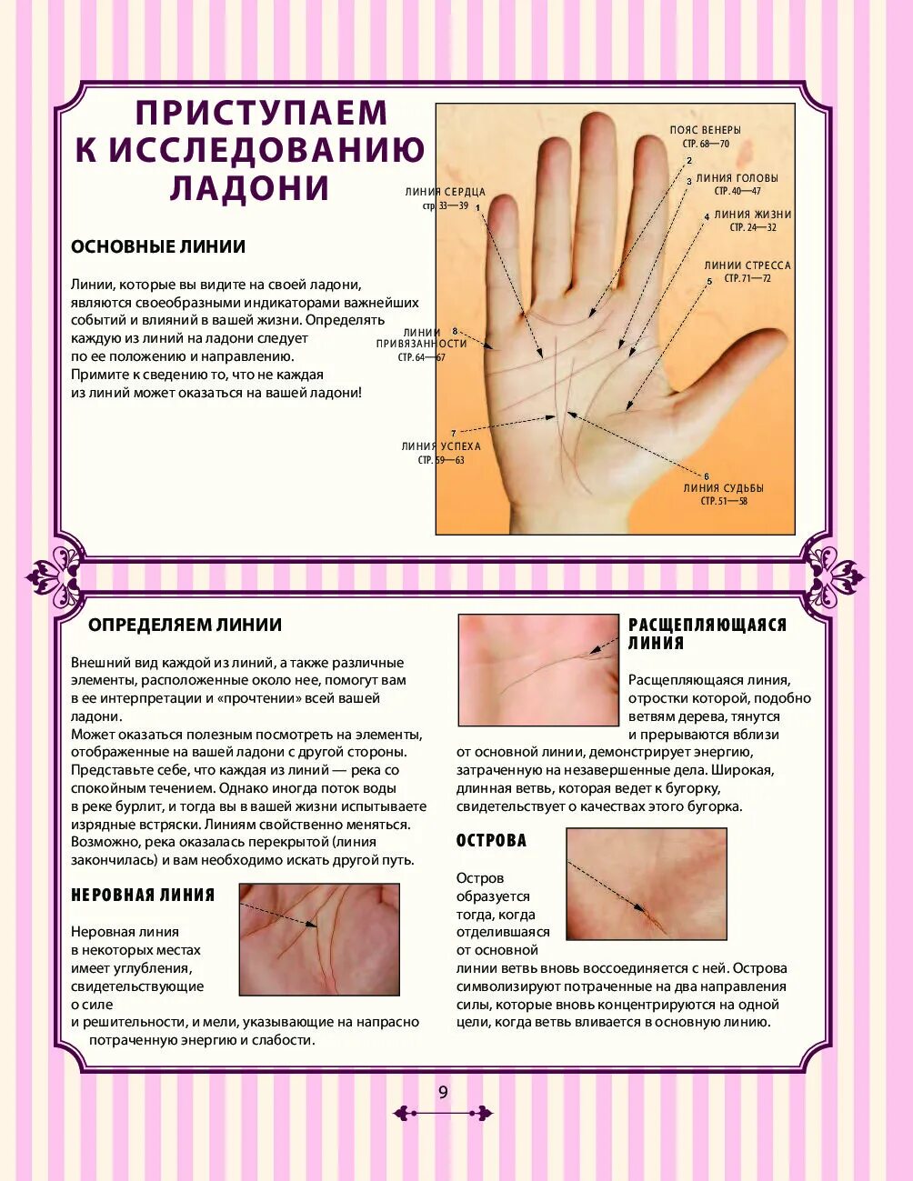 Ладошка описание