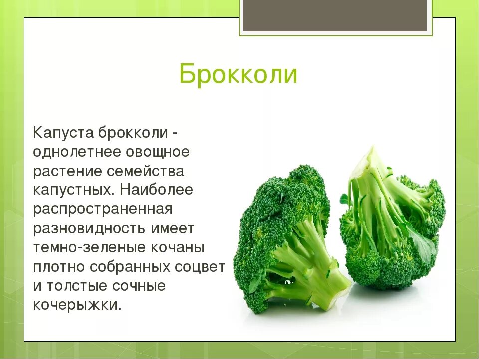 Брокколи. Описание овощей. Презентация брокколи тема. Брокколи описание. Чем отличается брокколи