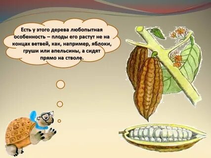 Откуда берется изюм 1 класс