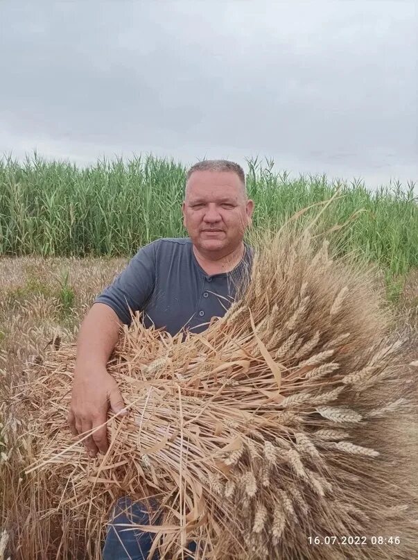 Поселок агроном краснодарский край. Аграрии краснодарского края. Главный агроном. Главный агроном краснодарский край. Агроном (краснодарский край).