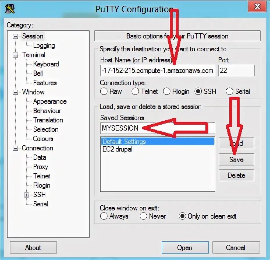 Подключение через putty Web Hosting Services WoW Private Server Hosting VPS Hosting Ragnarok Hosting