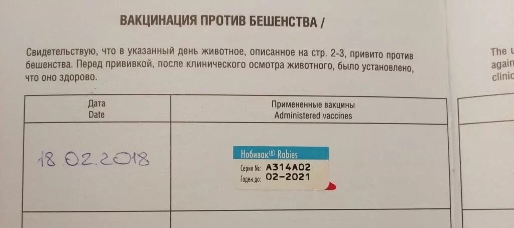 Схема вакцинации от бешенства. График прививок Мейн кунов. От бешенства вакцина сроки прививок. Вакцинация Мейн кунов котят схема. График вакцинации Мейн кунов.