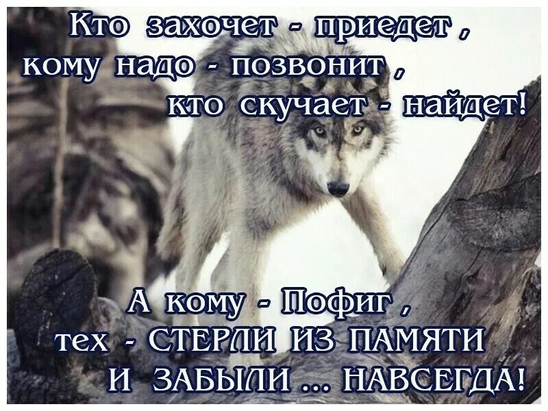 Цитаты кому нужна тот найдет позвонит. Живу по принципу цитаты. Кому нужен я тот позвонит. Кому ты нужен позвонить.