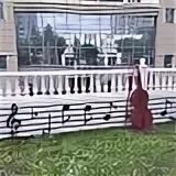 Моцарт северное бутово