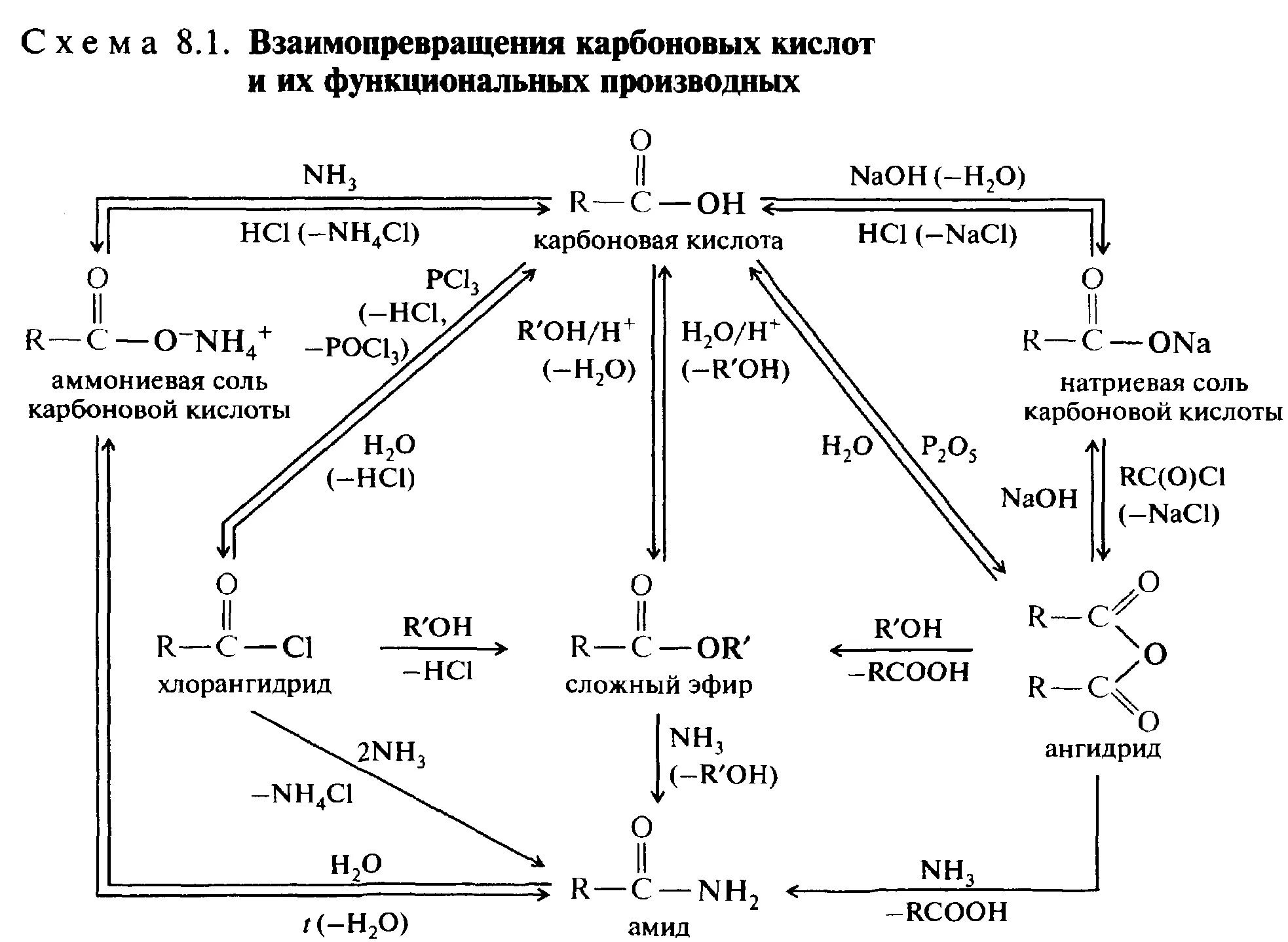 Функциональные производные карбоновых кислот химические свойства. Схема генетической связи кислоты. Производные карбоновых кислот химические свойства. Схемы превращения карбоновых кислот.