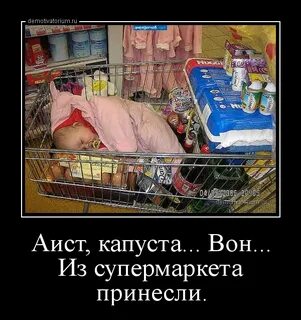 Аист и капуста