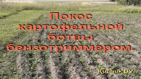 Скосить картошку
