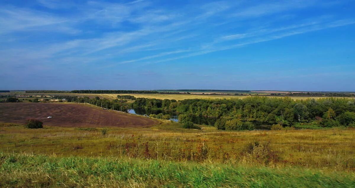 Лесостепи и степи лето и зима. Днепро Донская лесостепь. Зона лесостепи. Лесостепная зона Курска. Лесостепная зона Саратовской области.