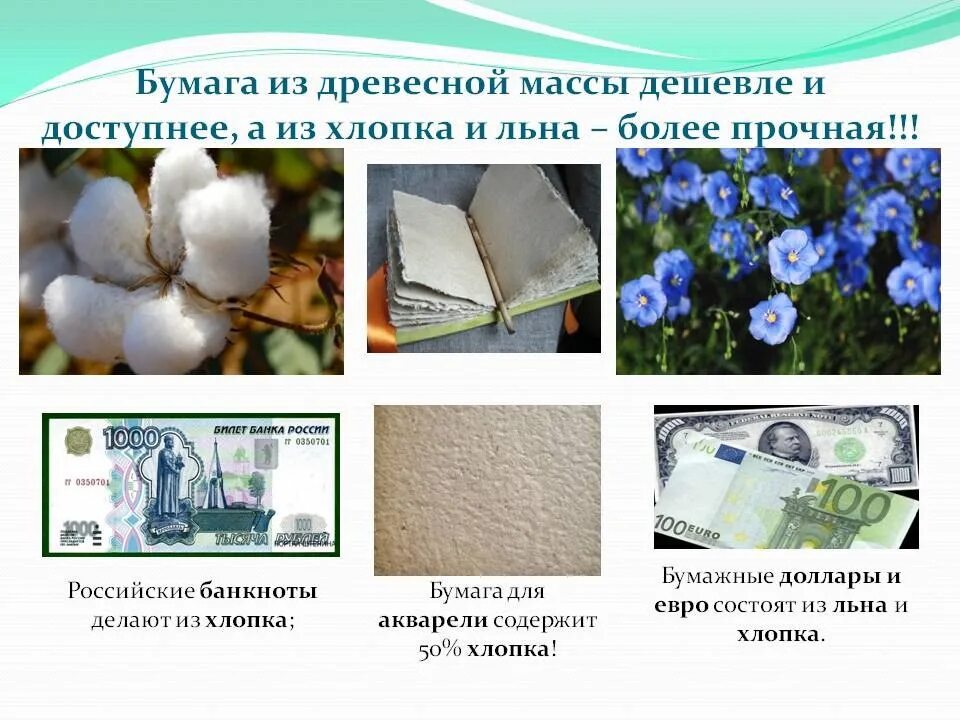 Хлопок получается из