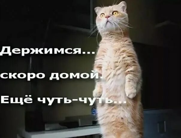 Доброе утро еще чуть чуть. Конец рабочего дня. Скоро домой. Поздравляю с окончанием рабочего дня. Конец рабочеготдня приколы.
