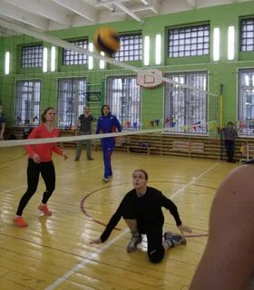 Школы в новогиреево