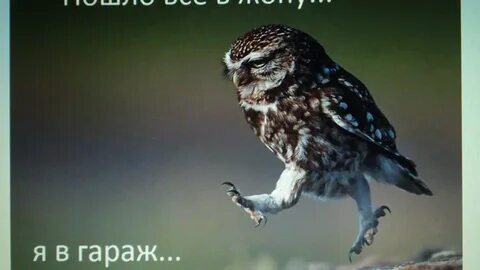 Мал да пошло все
