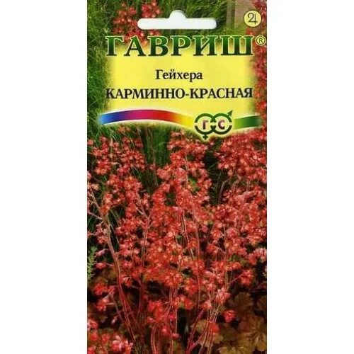 Гейхера семена фото Семена Гейхеры Мелкоцветковой Melting Fire (5 драже) купить в интернет-магазин