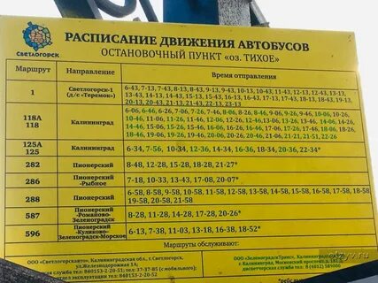 Зеленоградск светлогорск остановки