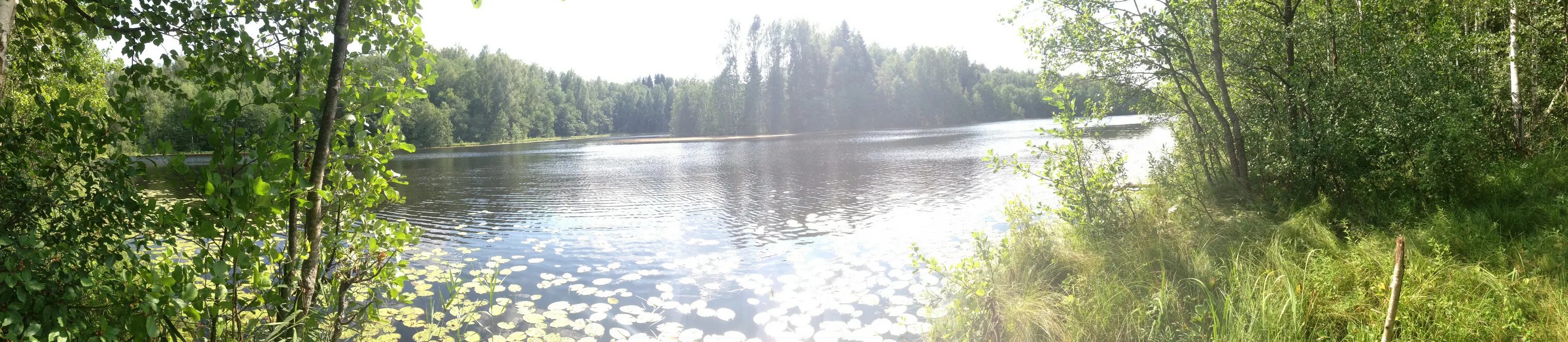Абанские озеро становое красноярский край. Озеро кривое железногорск красноярский. Озеро кривое красноярский. Кривое озеро новосибирск кудряши. Озеро кривое хабаровск.