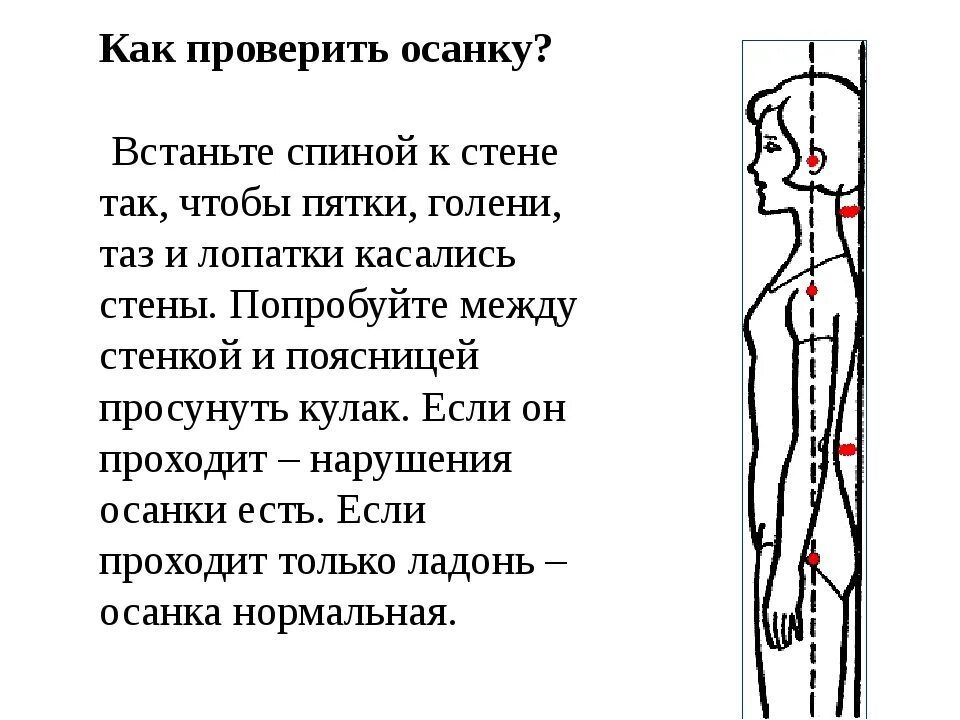 Осанку определяют как. Как определить правильность осанки. как проверить осанку у стены. проверка осанки у стены. правильная осанка как проверить.