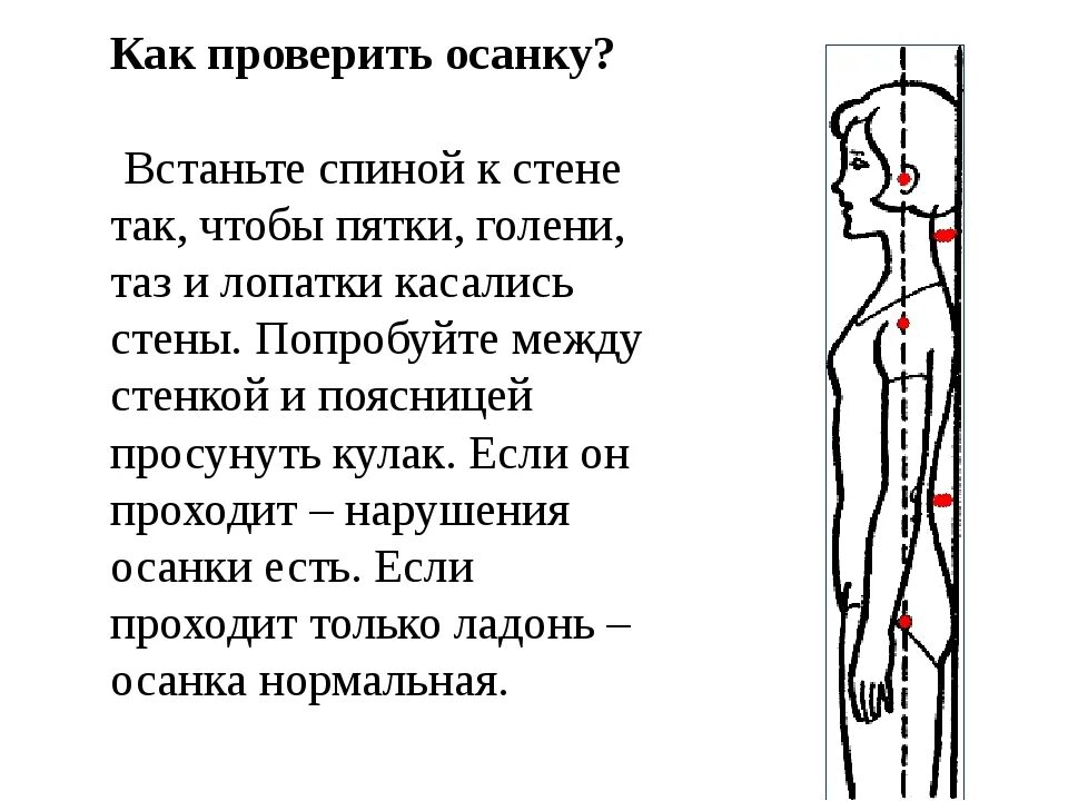 Почему стоя становится плохо. Как определить правильность осанки. Как проверить осанку у стены. Проверка осанки у стены. Как проверить осанку в домашних условиях у стены.