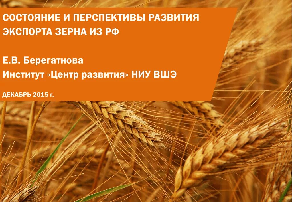 Православный сайт зерна интернет магазин. Реформа зерна. Экспорт зерна логотип. Экспорт зерна иконка. Зерно в руках на презентацию.