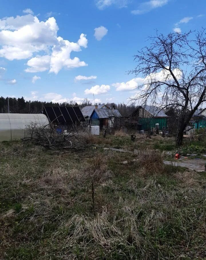 Автобус дачи юбилейное рошаль. Дачи юбилейное 2 рошаль. рошаль дачи юбилейное. рошаль дачи юбилейное озеро. коммерческое садовое товарищество юбилейное фото.