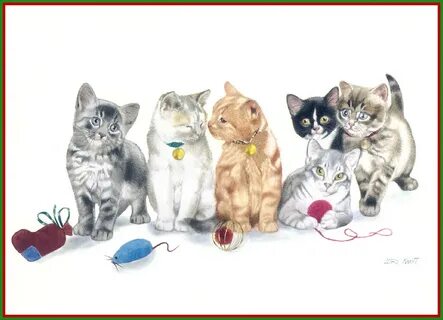 Коте компания