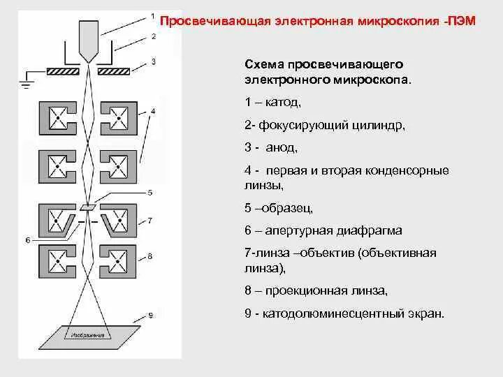 Методы сканирующей микроскопии