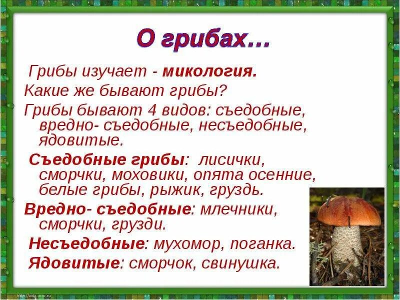 Проект по теме грибы 6 класс Презентация по биологии на тему: "Грибы" 6 класс.
