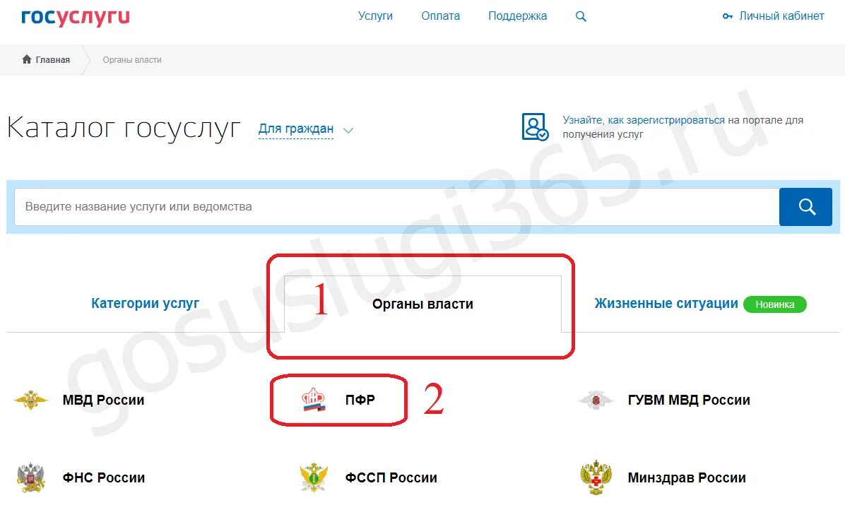 Не обновляется фамилия на госуслугах. Паспортные данные в приложении госуслуг. Сменить фамилию через госуслуги. Снилс через госуслуги. Ввод паспортных данных на госуслугах.