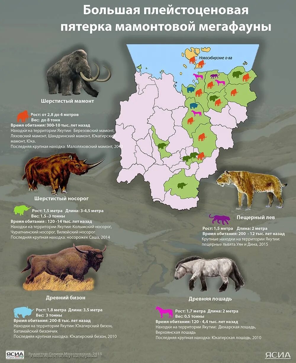 Ареал обитания мамонтов в россии. Территории обитания животных. Рысь ареал обитания в россии. Ареал обитания мамонтов в мире. Ареал обитания динозавров в россии.