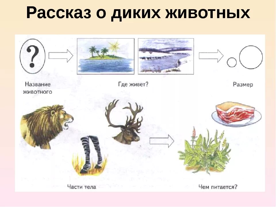 Схема описательного рассказа животные севера. Схема описания животных для дошкольников. Схема для составления рассказа о животных севера. Схема составления рассказа о животном севера.