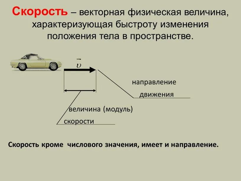 Скорость Векторная величина. Векторная величина векторные величины. Векторные физические величины. Векторные величины в физике.