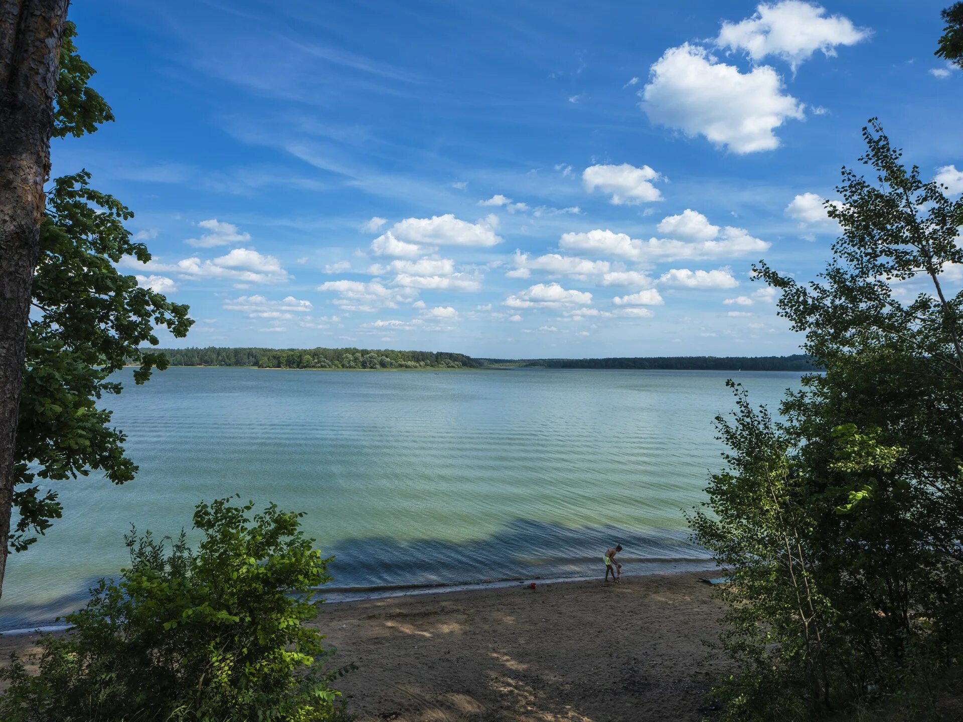 Истра московская область водохранилище. Пляж плотина на истринском водохранилище. Солнечногорск истринское водохранилище. Беларусь заславское водохранилище. Озеро истры.