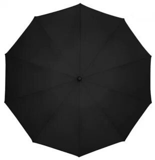 Zuodu automatic umbrella