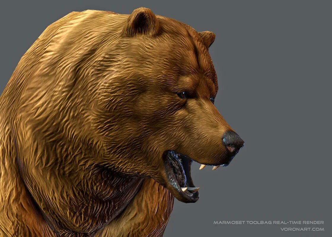 Бурый медведь 3д модель. Лоу полигональная модель медведь. Медведь рисунок. Медведь 3d. Медведь 3д.