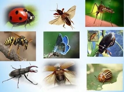 Даниэлла Раш бассейннің жанындағы порно фотосуреттері