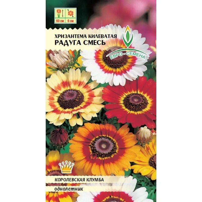 Радуга семена. Кукуруза декоративная самоцвет. Торговый центр рапира на вднх. Радуга семена оптом на ввц. Семена на вднх павильон 2022.