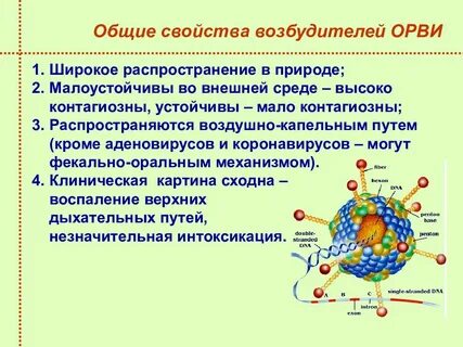 Грипп аденовирус