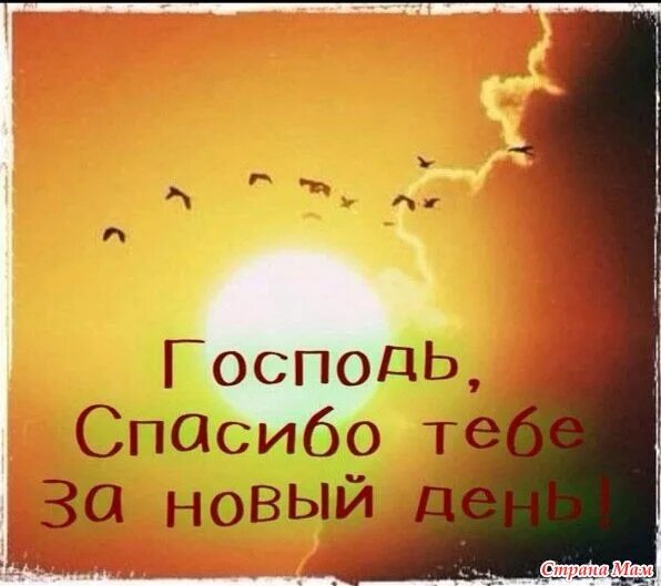 Спасибо богу за новый день доброе утро. Доброе утро христианские. библейские открытки с добрым утром. христианские пожелания с добрым утром. доброе утро христианские открытки.
