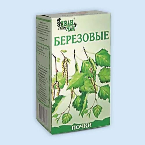 Почки березы трава. Березовые почки чай. Почки березы в аптеке. Почки березы фармацвет. Береза повислая лекарственные препараты.